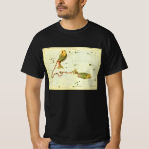 ウラニアの鏡の魚座の星図、ヴィンテージ Tシャツ