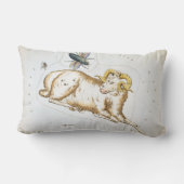 ウラニアの鏡、ヴィンテージおひれ座 ランバークッション (裏面)