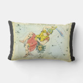 ウラニアの鏡、ヴィンテージ天文学 天体地図 ランバークッション (裏面)