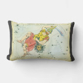 ウラニアの鏡、ヴィンテージ天文学 天体地図 ランバークッション (正面)