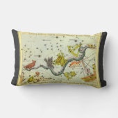 ウラニアの鏡、ヴィンテージ天文学 天体地図 ランバークッション (裏面)