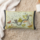 ウラニアの鏡、ヴィンテージ天文学 天体地図 ランバークッション (ブランケット)