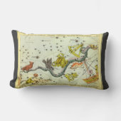 ウラニアの鏡、ヴィンテージ天文学 天体地図 ランバークッション (正面)