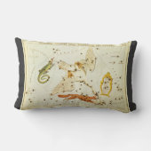 ウラニアの鏡、ヴィンテージ天文学 天体地図 ランバークッション (裏面)