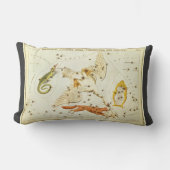 ウラニアの鏡、ヴィンテージ天文学 天体地図 ランバークッション (正面)