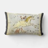 ウラニアの鏡、ヴィンテージ天文学 天体地図 ランバークッション (裏面)