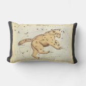 ウラニアの鏡、ヴィンテージ天文学 天体地図 ランバークッション (正面)