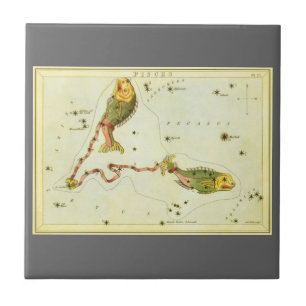 ウラニアの鏡 十二星座の魚座 タイル