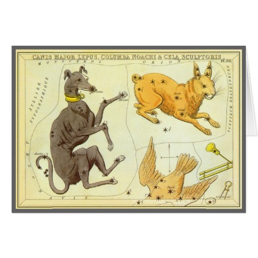 ウラニア鏡ヴィンテージ天文学の天球図 (正面横)