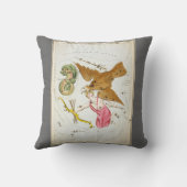 ウラニア鏡ヴィンテージ天文学の天球図 クッション (裏面)