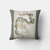 ウラニア鏡ヴィンテージ天文学の天球図 クッション (裏面)