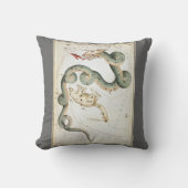 ウラニア鏡ヴィンテージ天文学の天球図 クッション (正面)