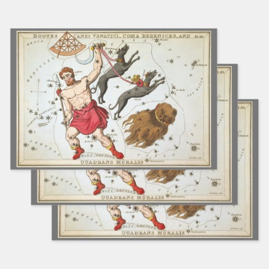 ウラニア鏡ヴィンテージ天文学の天球図 ラッピングペーパーシート (セット)