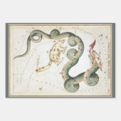 ウラニア鏡ヴィンテージ天文学の天球図 ラッピングペーパーシート (正面3)