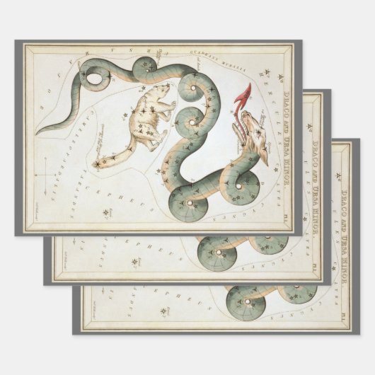 ウラニア鏡ヴィンテージ天文学の天球図 ラッピングペーパーシート (セット)