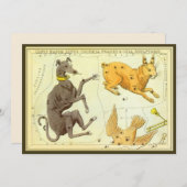 ウラニア鏡ヴィンテージ天文学の天球図 招待状 (正面/裏面)