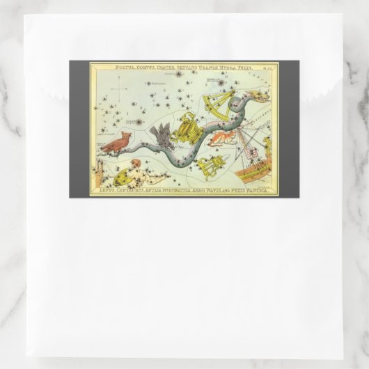 ウラニア鏡ヴィンテージ天文学の天球図 長方形シール (バッグ)