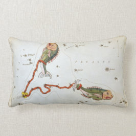 ウラニア鏡ヴィンテージ魚座 ランバークッション