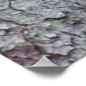 ウラルフクロウ ポスター (角)