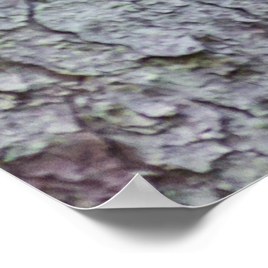 ウラルフクロウ ポスター (角)