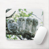 ウラル湿地。北海道池田町 マウスパッド (マウス)