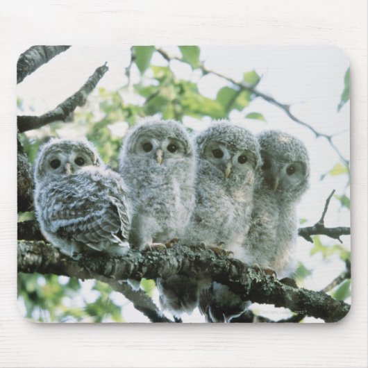 ウラル湿地。北海道池田町 マウスパッド (正面)