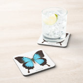 ウリッセースの蝶 コースター (右側)