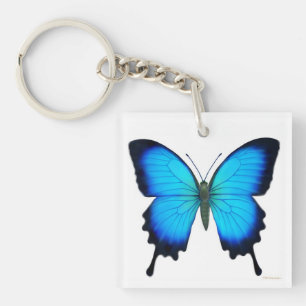 ウリッセースの青い蝶Keychain キーホルダー