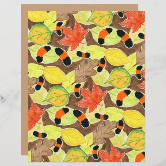 ウリベアキャタピラ (正面/裏面)