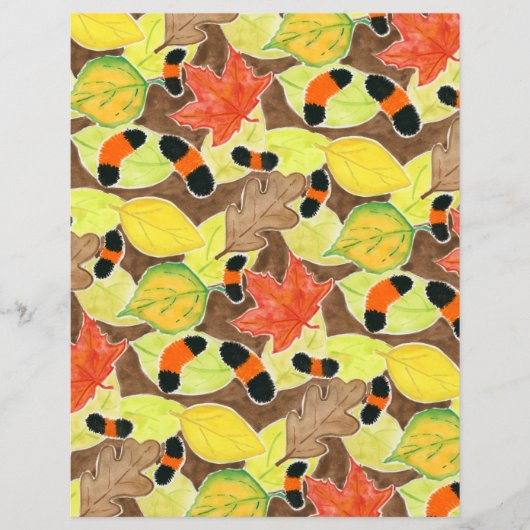 ウリベアキャタピラ (正面)