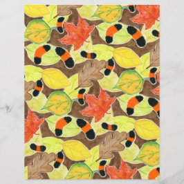 ウリベアキャタピラ