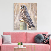 ウルで短い耳を持つフクロウ キャンバスプリント (インサイチュ (リビング))