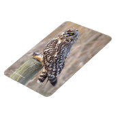 ウルで短い耳を持つフクロウ マグネット (左側)