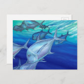 ウルア（ジャイアントトレバリー） ポストカード (正面/裏面)