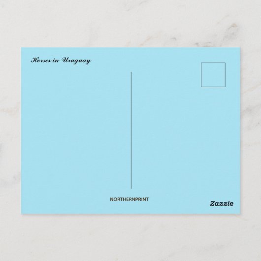 ウルグアイの家と花 ポストカード (裏面)