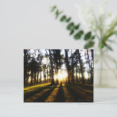 ウルグアイの販売後 ポストカード (スタンド正面)