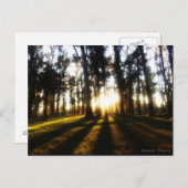 ウルグアイの販売後 ポストカード (正面/裏面)