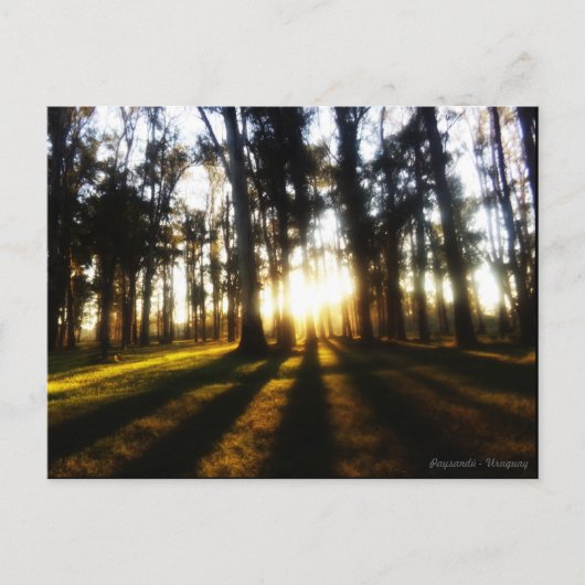 ウルグアイの販売後 ポストカード (正面)