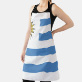 ウルグアイ国旗の象徴 エプロン (インサイチュ)