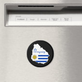 ウルグアイ磁石 マグネット (インサイチュ (食洗機))