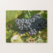 ウルグアイ、モンテビデオ、コロンエリア。ボデガス ジグソーパズル (横)