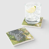 ウルグアイ、モンテビデオ、コロンエリア。ボデガス ストーンコースター (横)