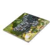 ウルグアイ、モンテビデオ、コロンエリア。ボデガス タイル (側面)