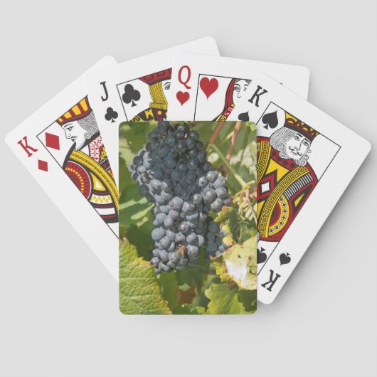 ウルグアイ、モンテビデオ、コロンエリア。ボデガス トランプ (裏面)