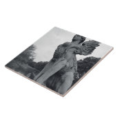 ウルグアイ、モンテビデオ、バリオ·プラド、神話学 タイル (側面)