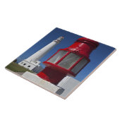 ウルグアイ、ロチャ部、ラパロマ。サンタ岬 タイル (側面)