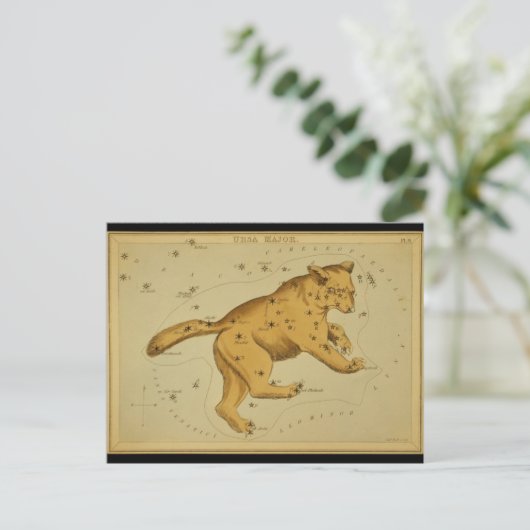 ウルサ専攻の ポストカード (スタンド正面)