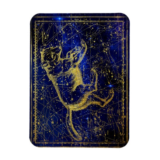 ウルサ座専攻の座磁石 マグネット (縦)