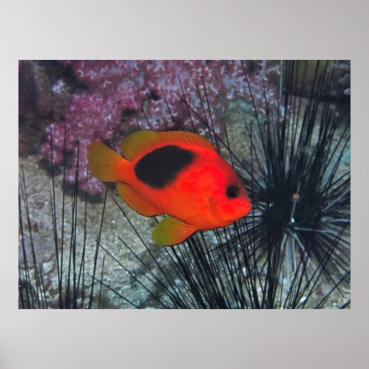 ウルチンの中で ポスター (正面)