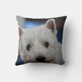 ウルトラキュートペスティウェスティホワイトテリア クッション (裏面)